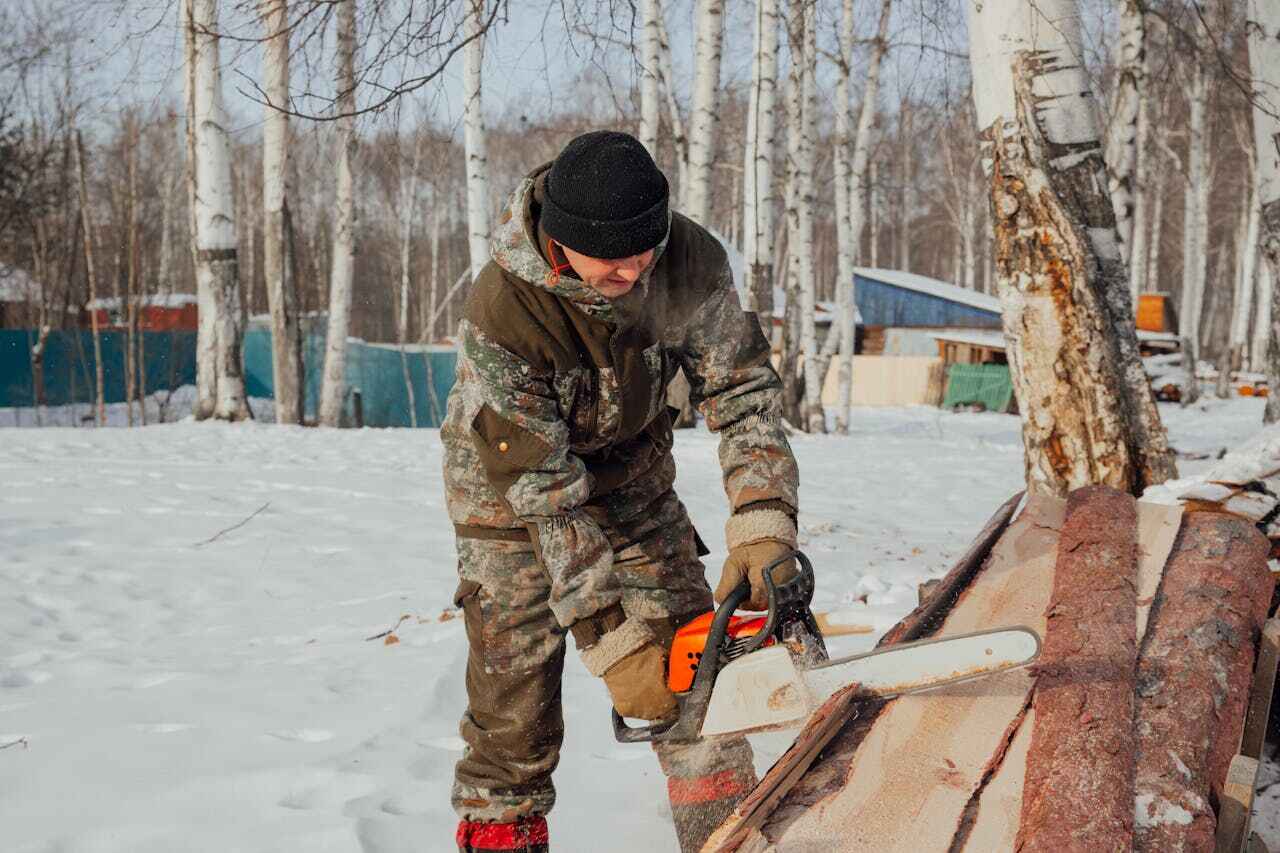 Dead Tree Removal in Cherry Valley, CA